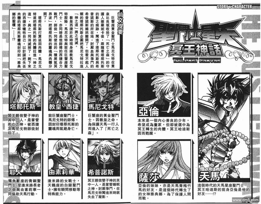 第9卷-圣斗士星矢 冥王神话-手代木史织（第2张）