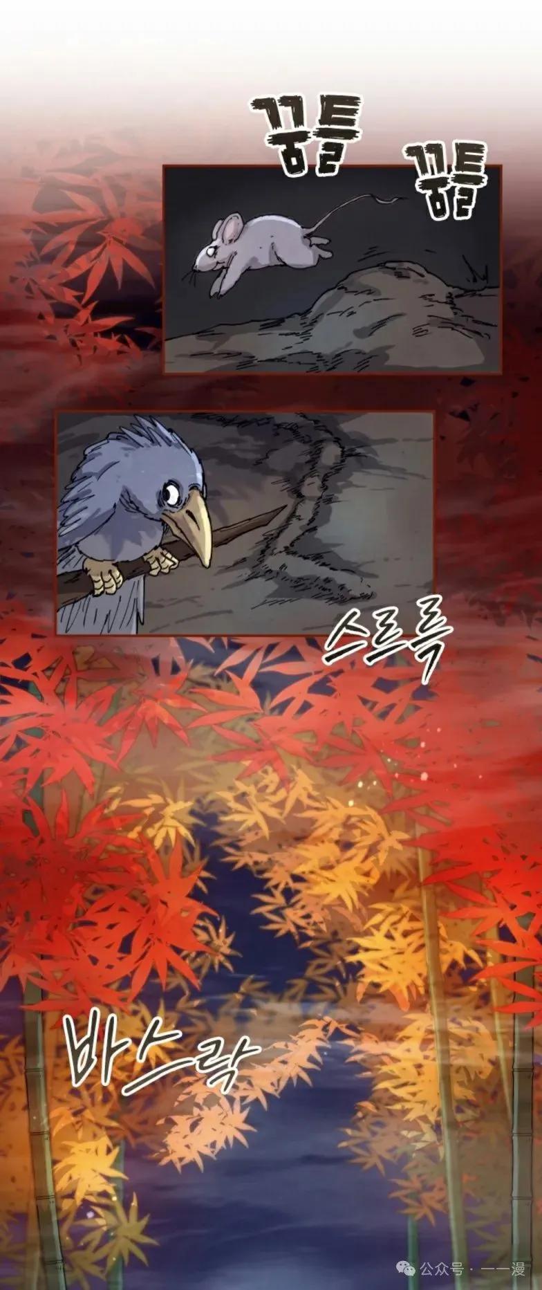 41.jpg