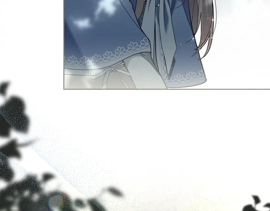 146.jpg