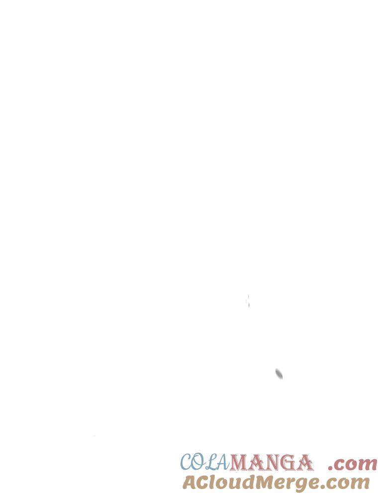 113.jpg