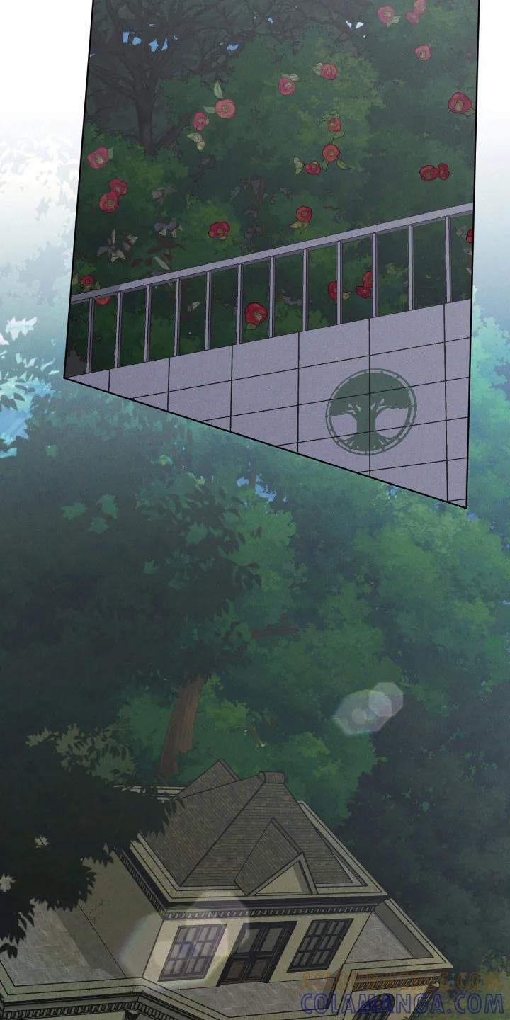 第164章：【第三季】最后希望-彩虹城-Pnaiuenm（第3张）