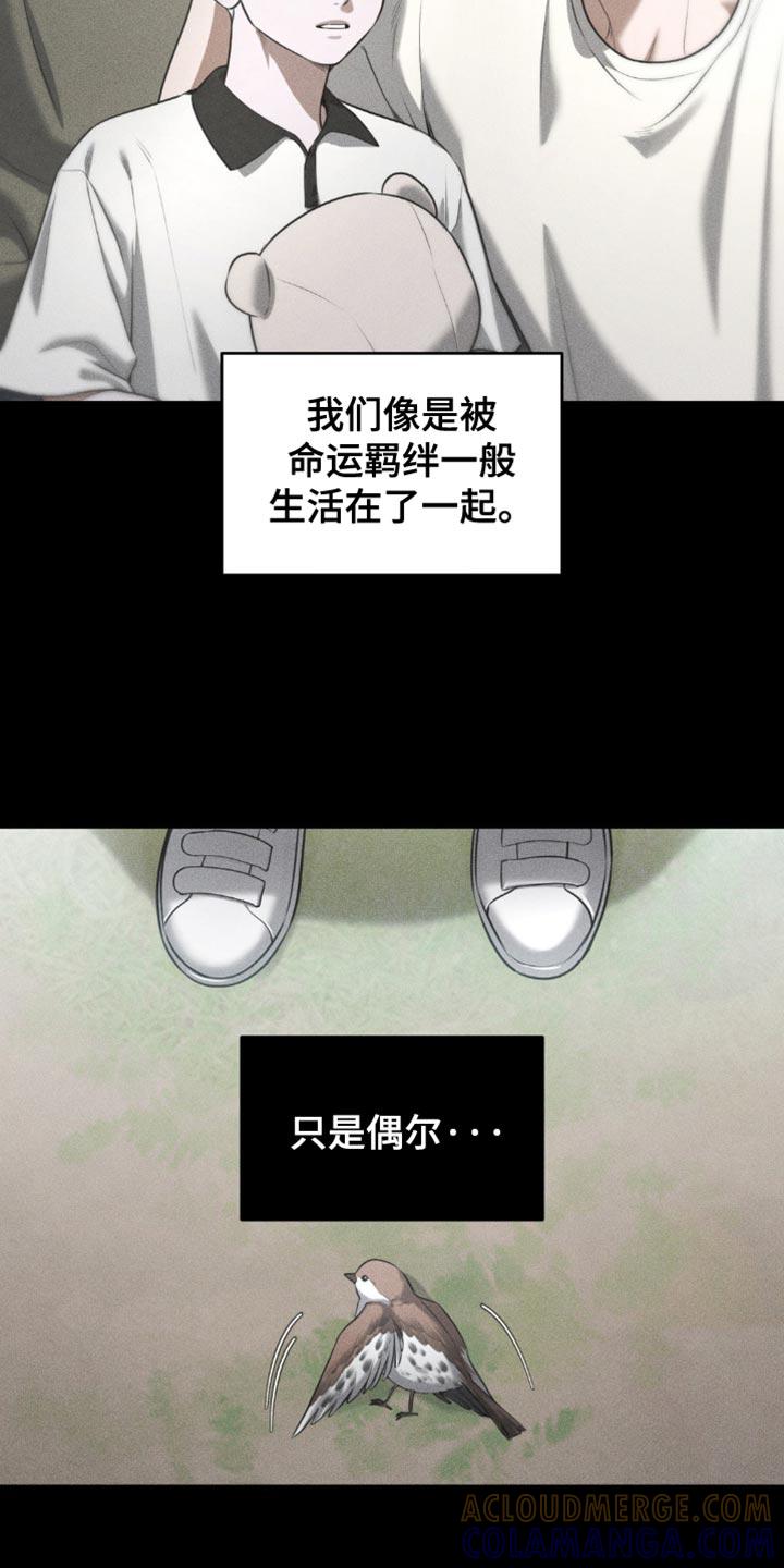 第88章：【第二季】让人难以理解的事-纯白的假象-Rental price（第10张）