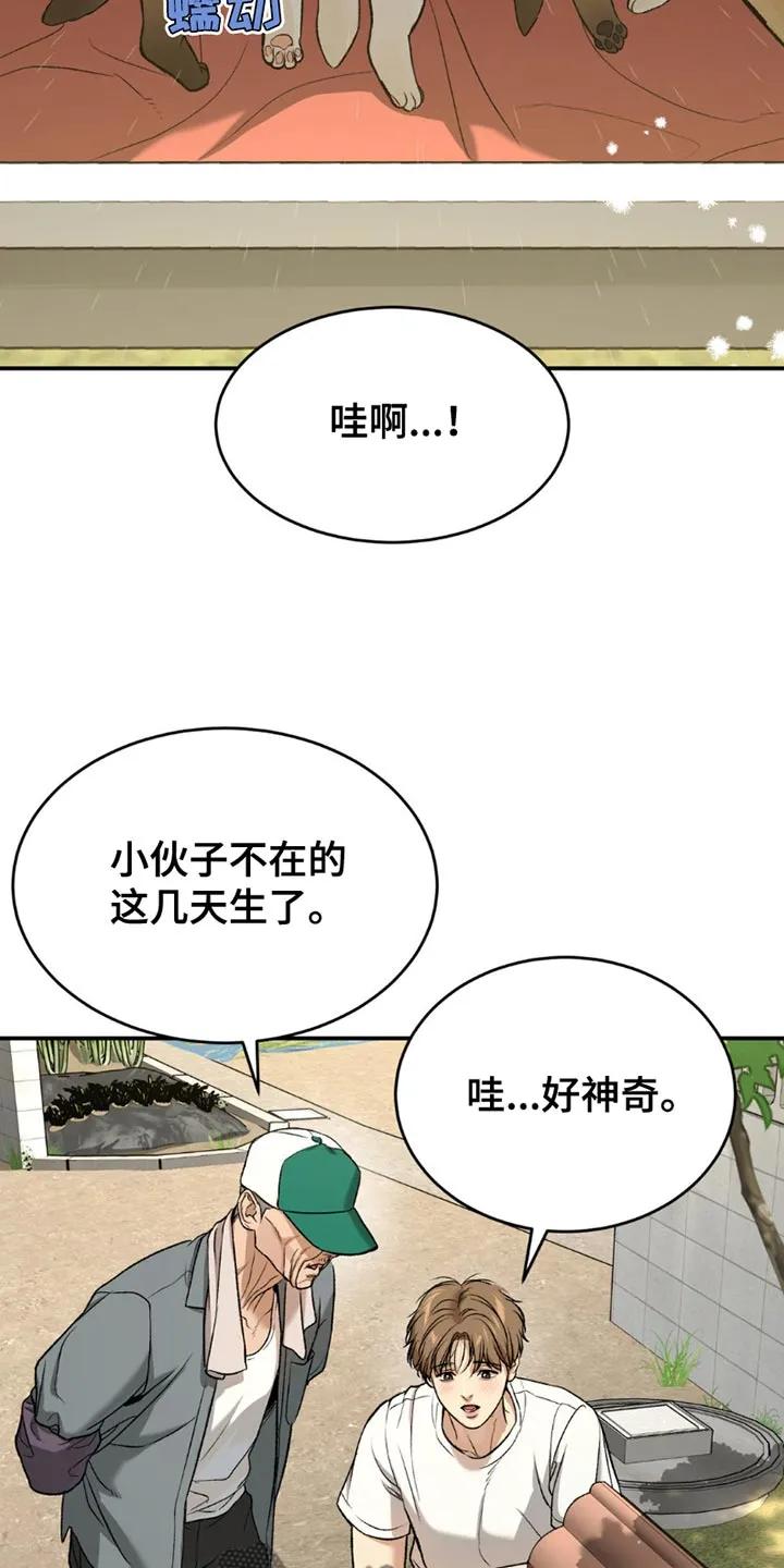 第199章：【第二季】漂亮的小狗-魔咒-JINX（第14张）