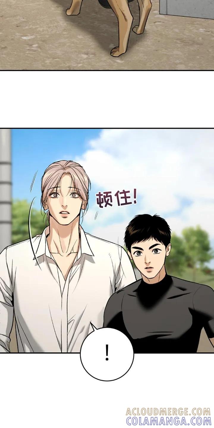 第199章：【第二季】漂亮的小狗-魔咒-JINX（第25张）