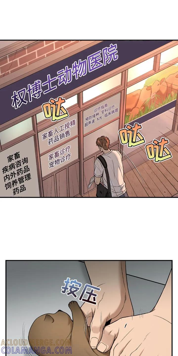 第205章：【第二季】想用尽办法留住-魔咒-JINX（第9张）