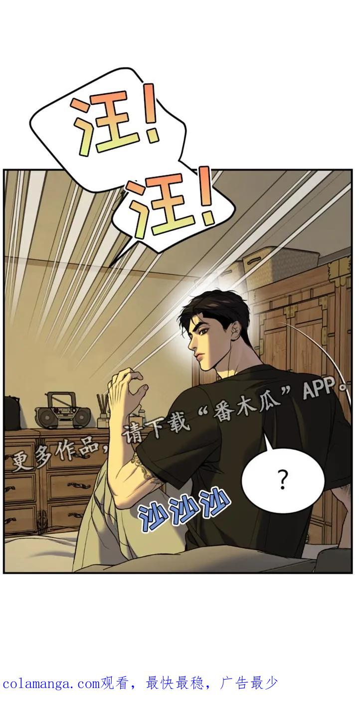 第224章：【第二季】状态奇怪-魔咒-JINX（第20张）