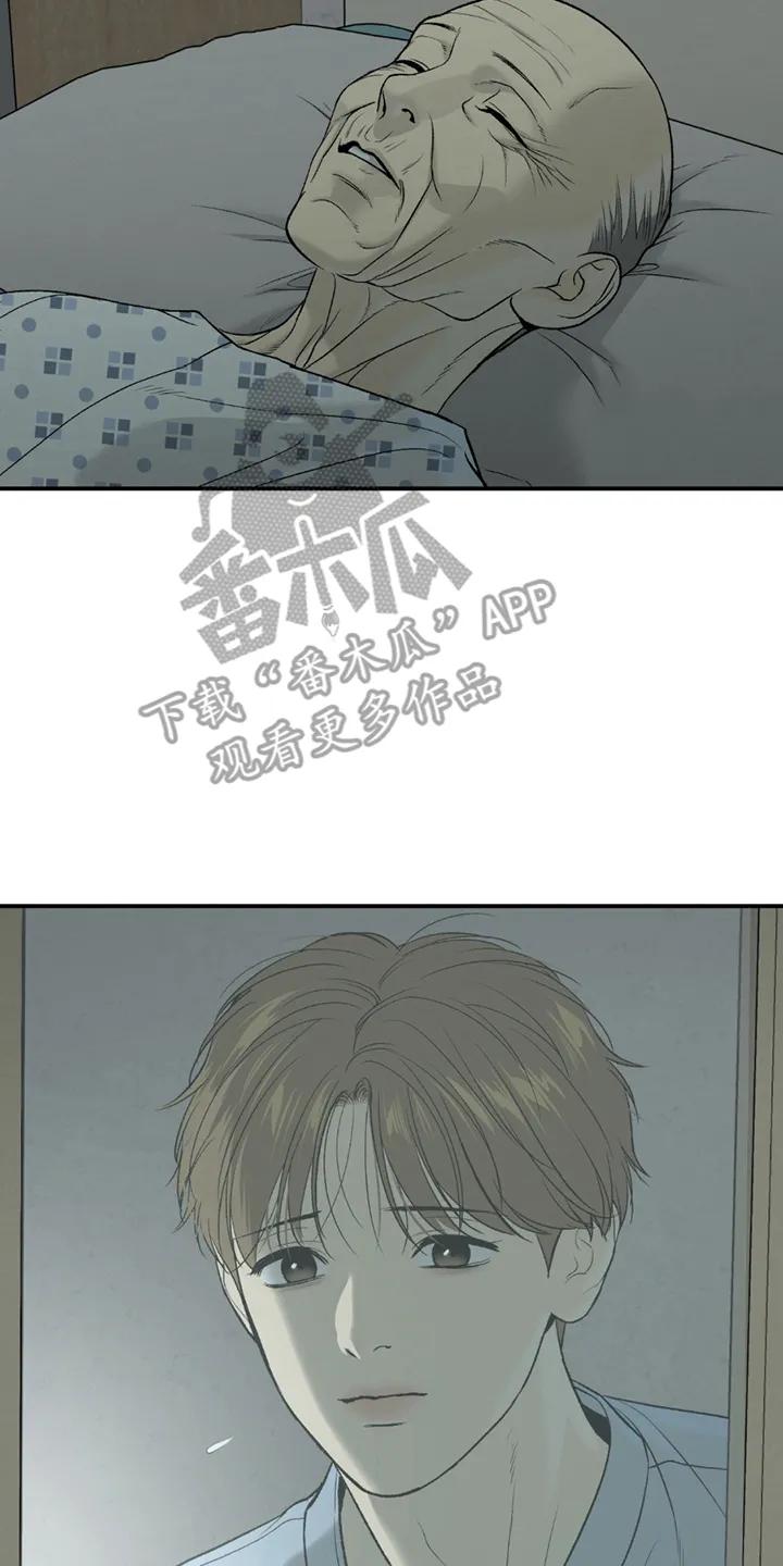 第246章：【第二季】分析-魔咒-JINX（第16张）