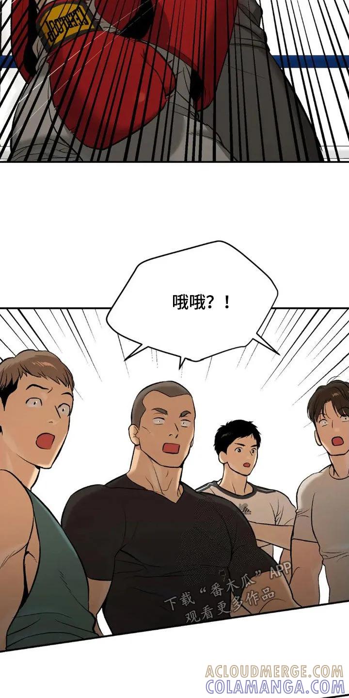 第74章：一个愿望-魔咒-JINX（第5张）