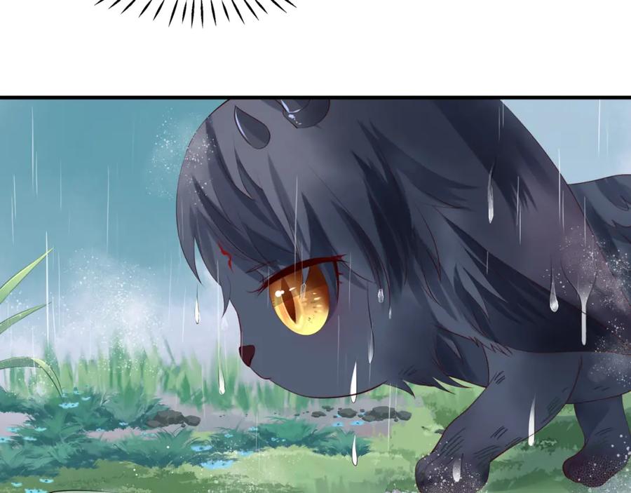 62.jpg