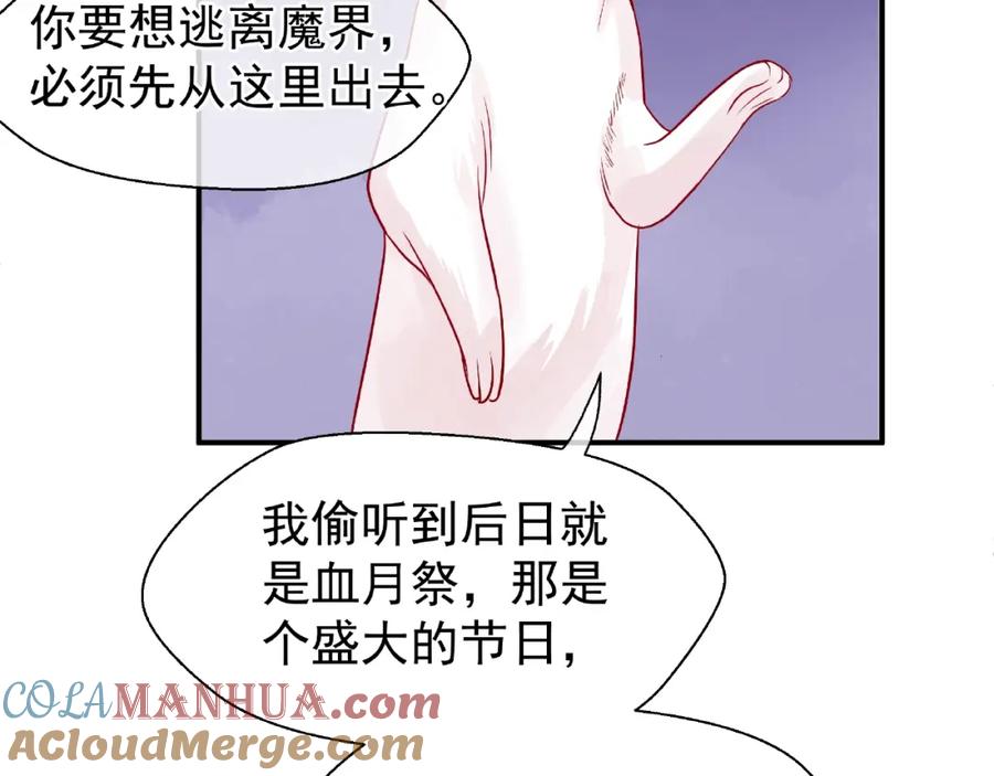 161.jpg