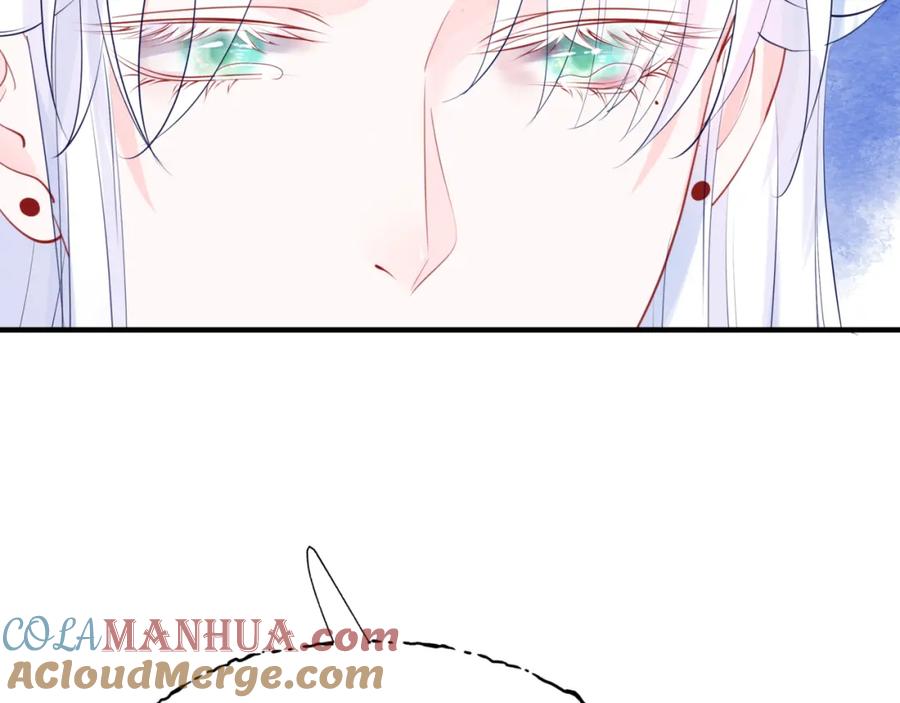 113.jpg