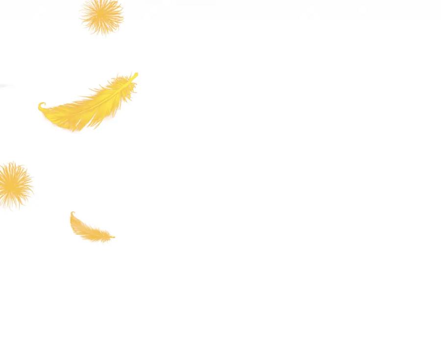 116.jpg