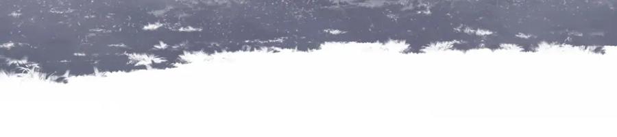 119.jpg