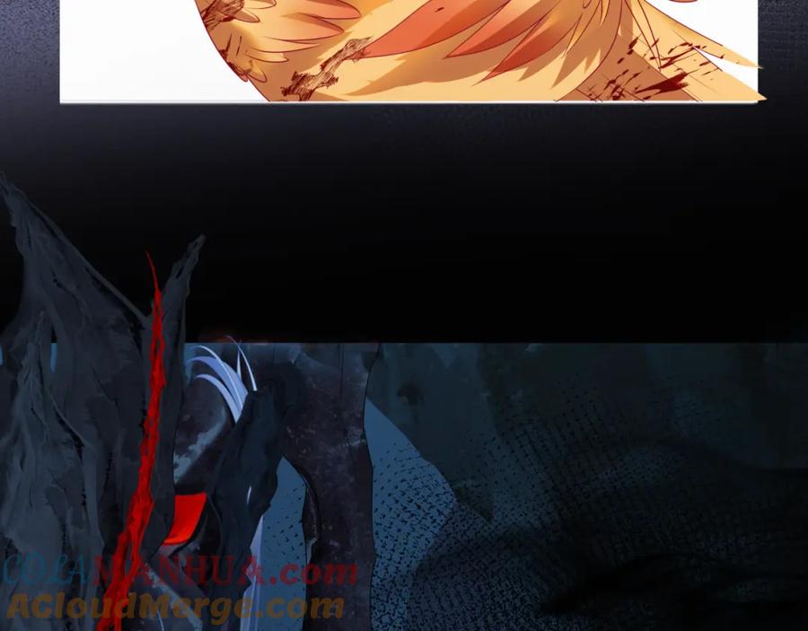 181.jpg