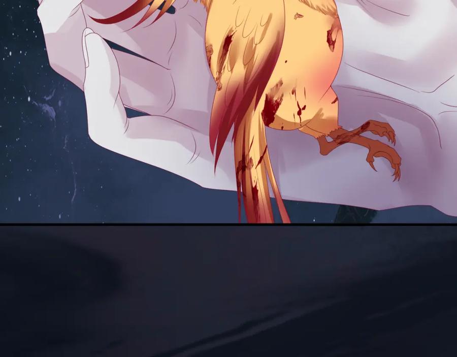 72.jpg