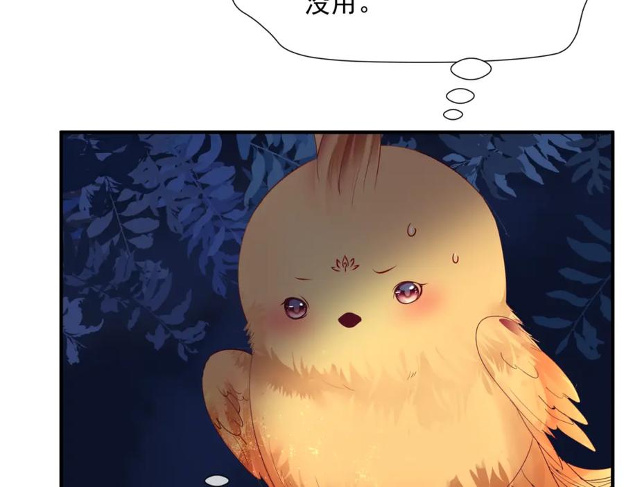 96.jpg
