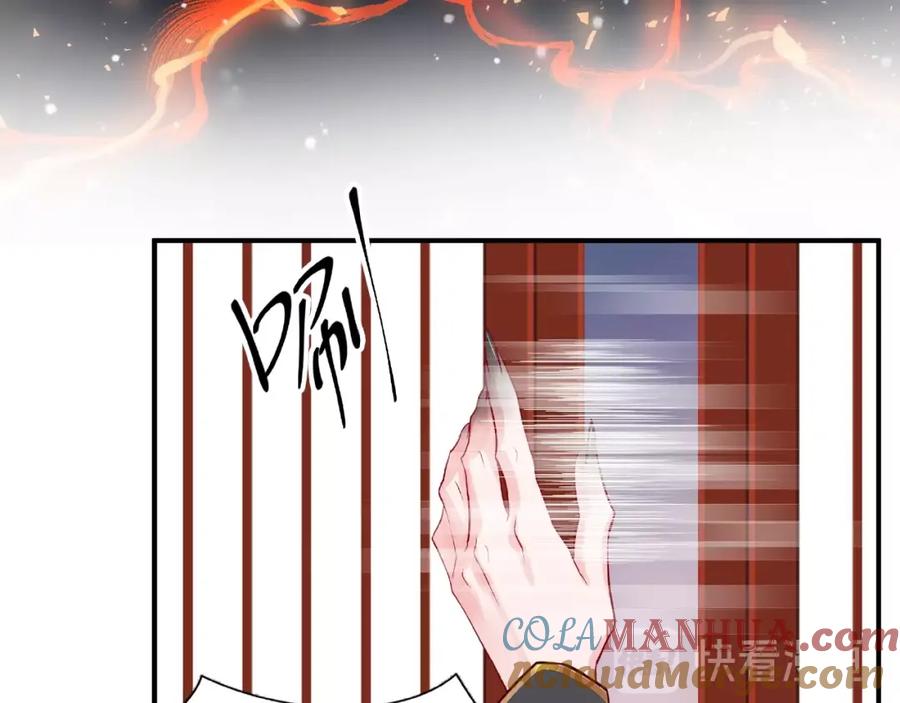 81.jpg