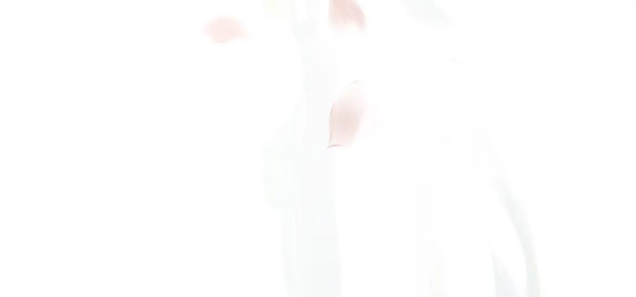 147.jpg
