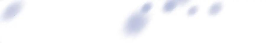 215.jpg