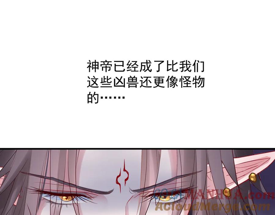 113.jpg
