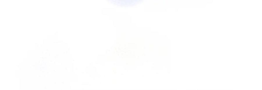 102.jpg