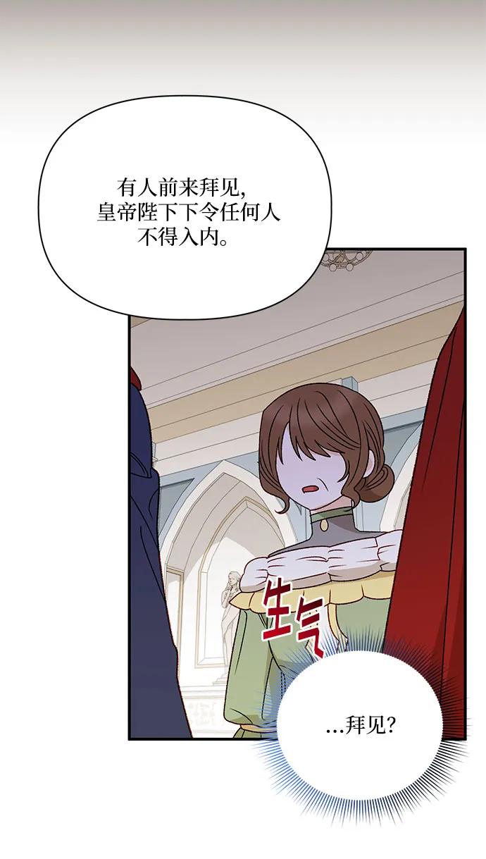 65.jpg