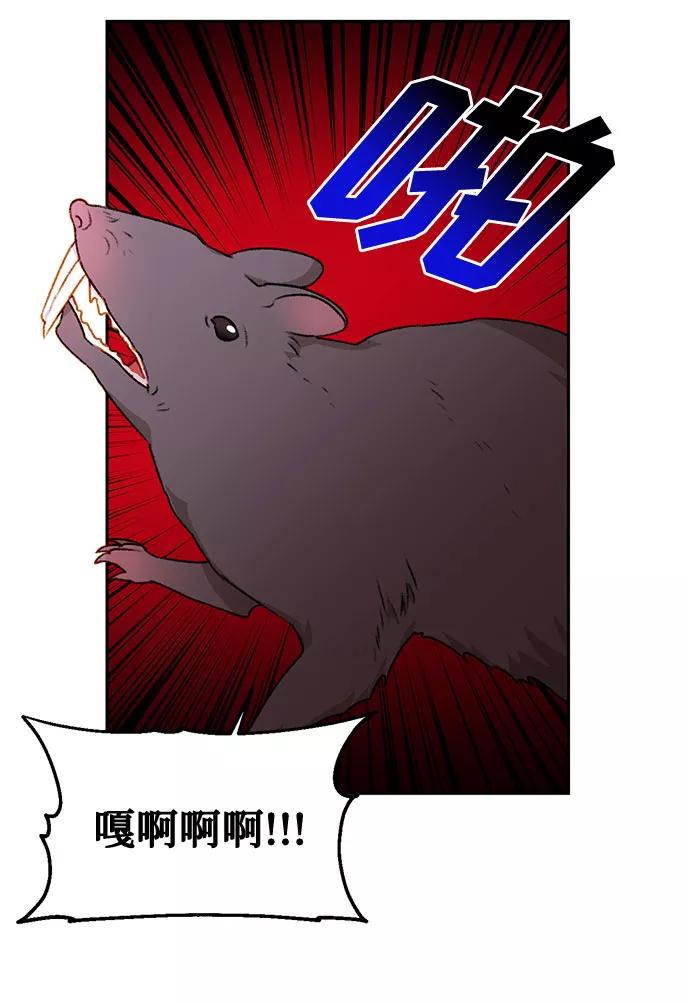 45.jpg