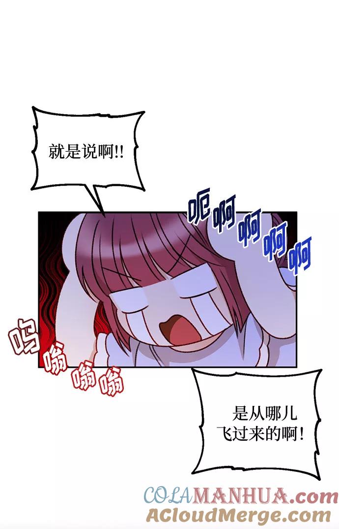 34.jpg