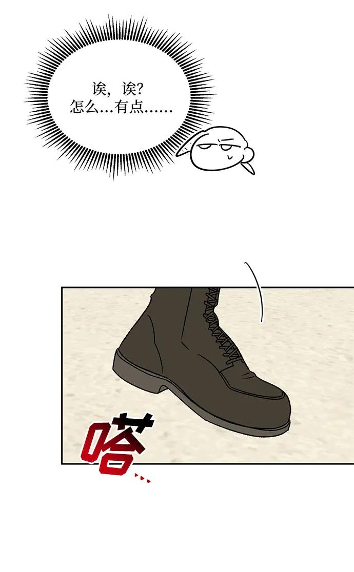 62.jpg
