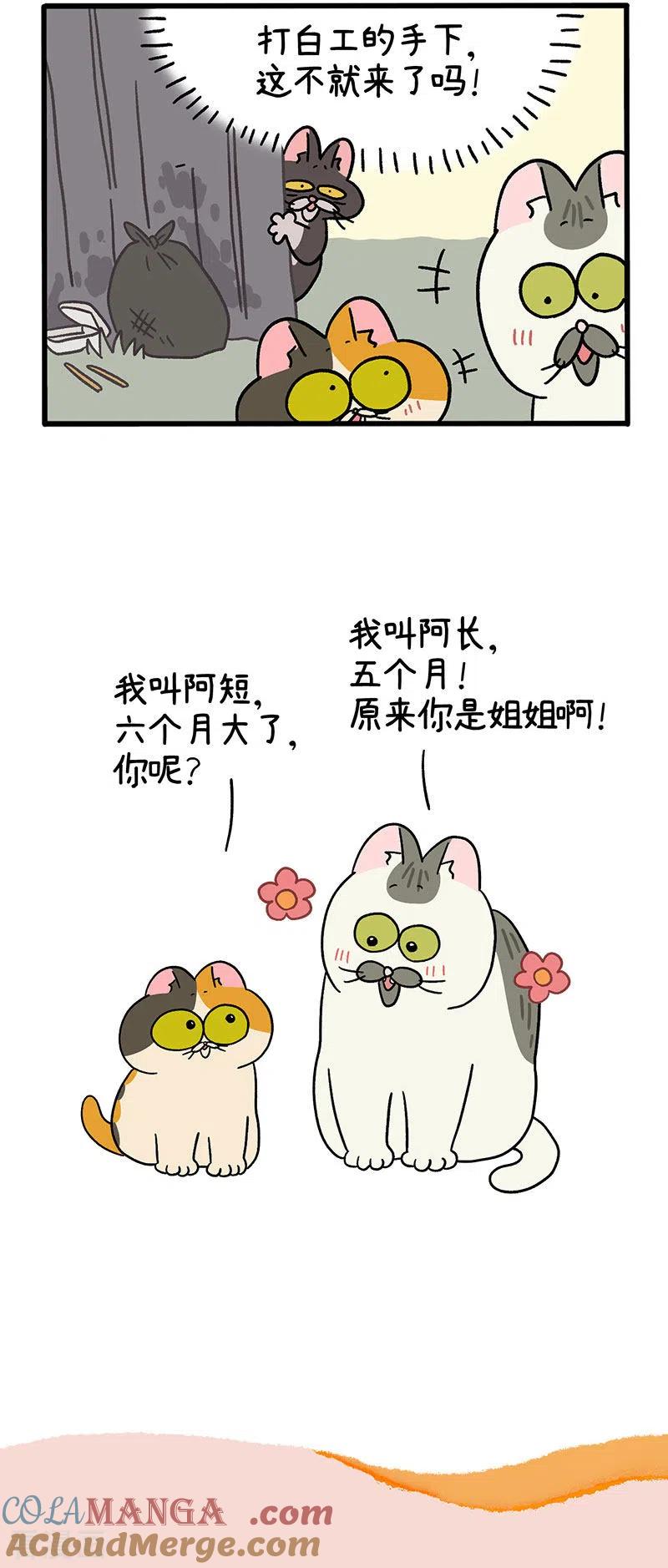 番外7下阿长阿短的童年-阿满和麦茶-新漫画 日胖大海寺（第6张）