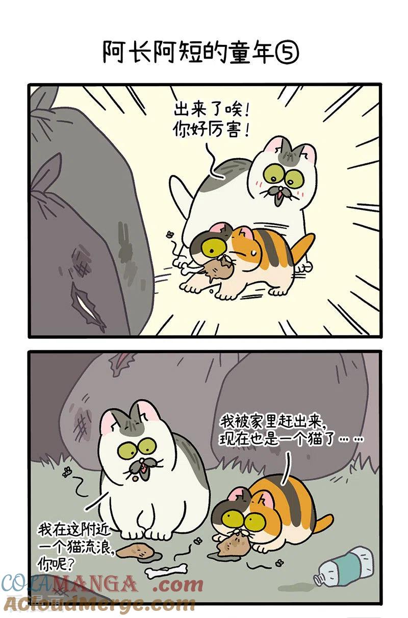 番外7下阿长阿短的童年-阿满和麦茶-新漫画 日胖大海寺（第3张）