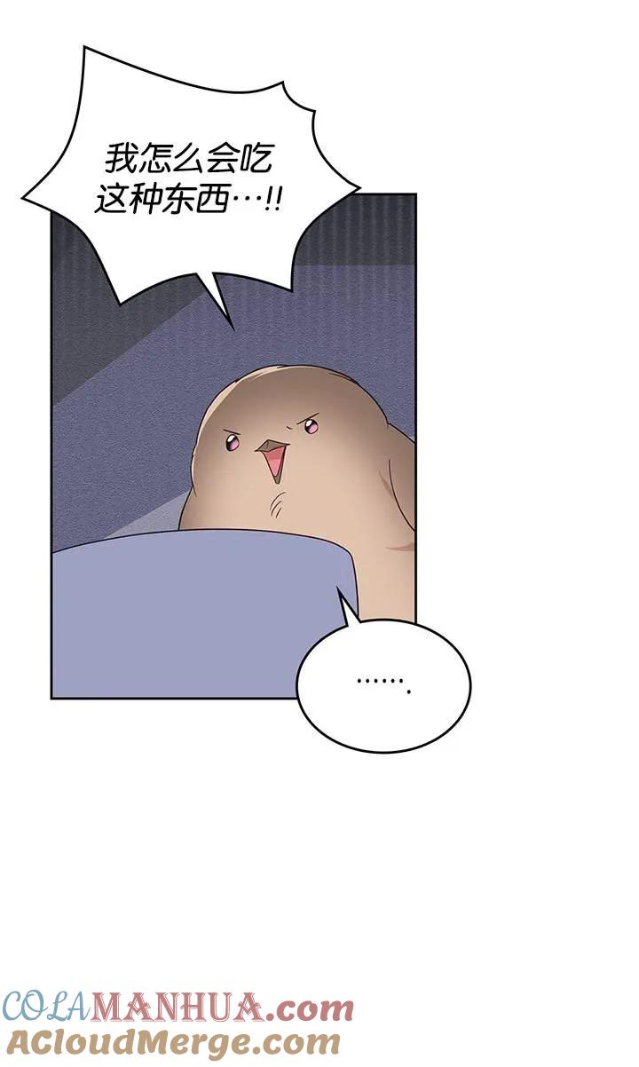 65.jpg