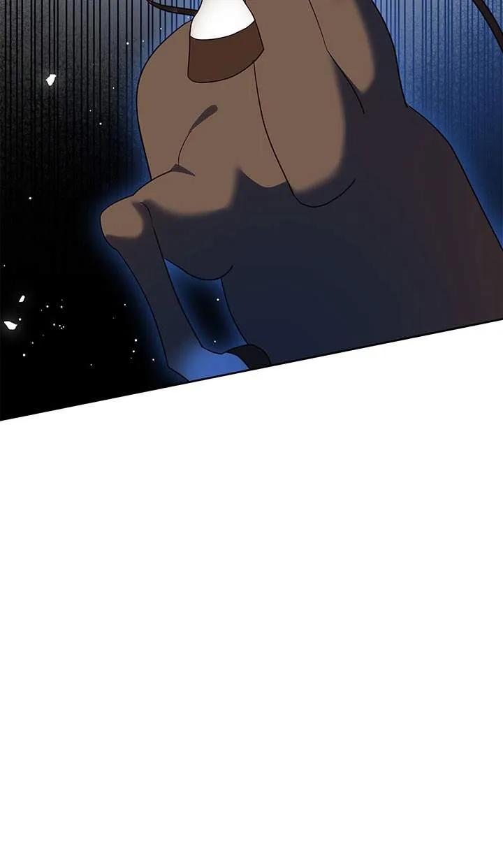 94.jpg