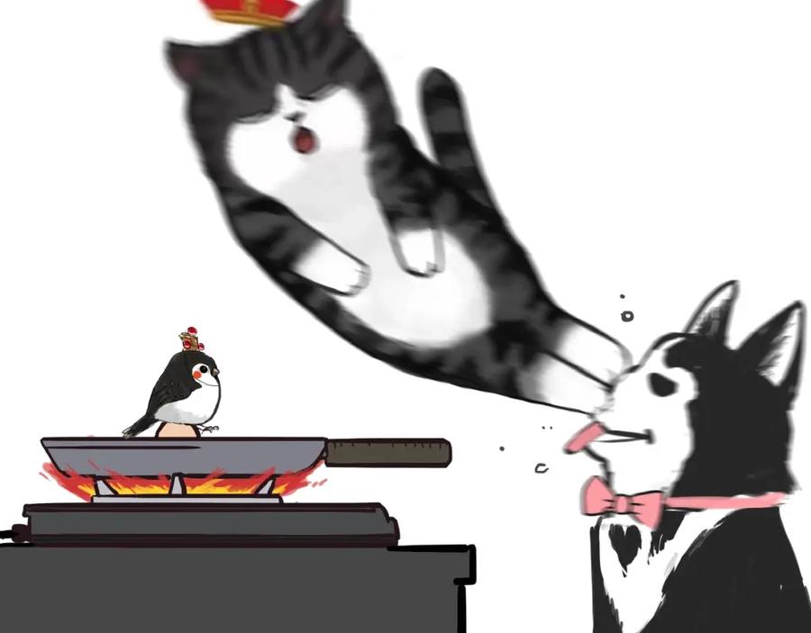 28.jpg