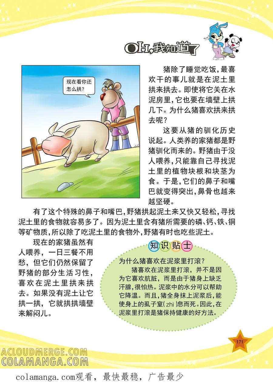 第41话-虹猫蓝兔十万个为什么-虹猫蓝兔（第4张）