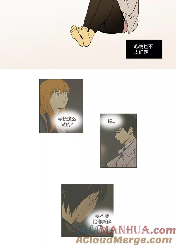 31.jpg