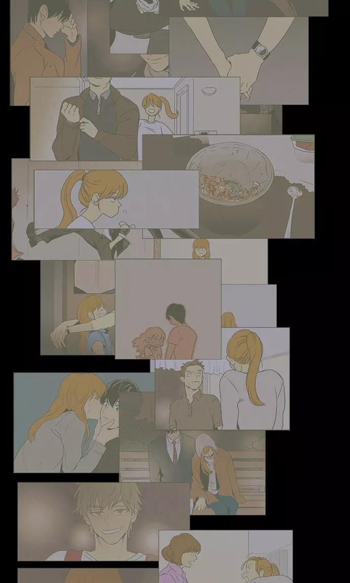 41.jpg