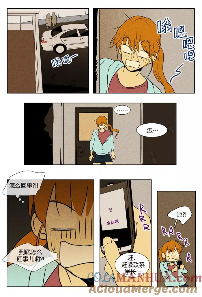 13.jpg