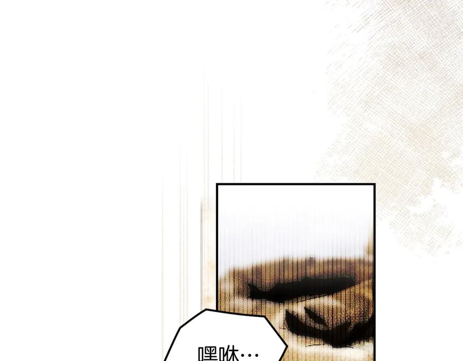 102.jpg