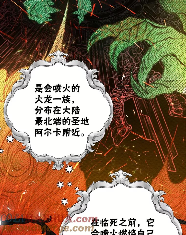 34.偶遇故人-皇室婚姻-HIYA,Kangryeol, Portofino（第28张）