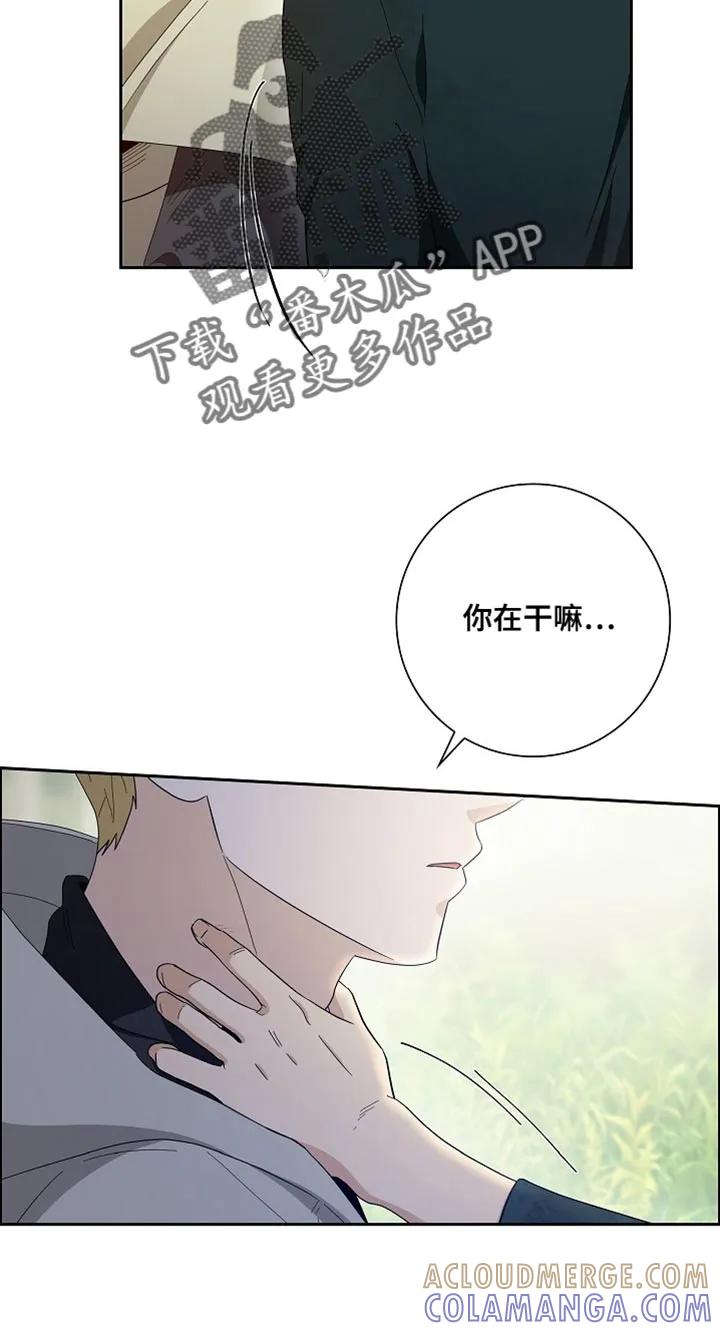 第73章：【第二季】小屁孩-姻缘天注定-ROAMM（第16张）