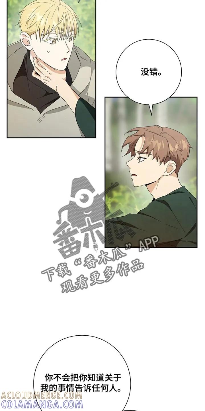 第73章：【第二季】小屁孩-姻缘天注定-ROAMM（第20张）