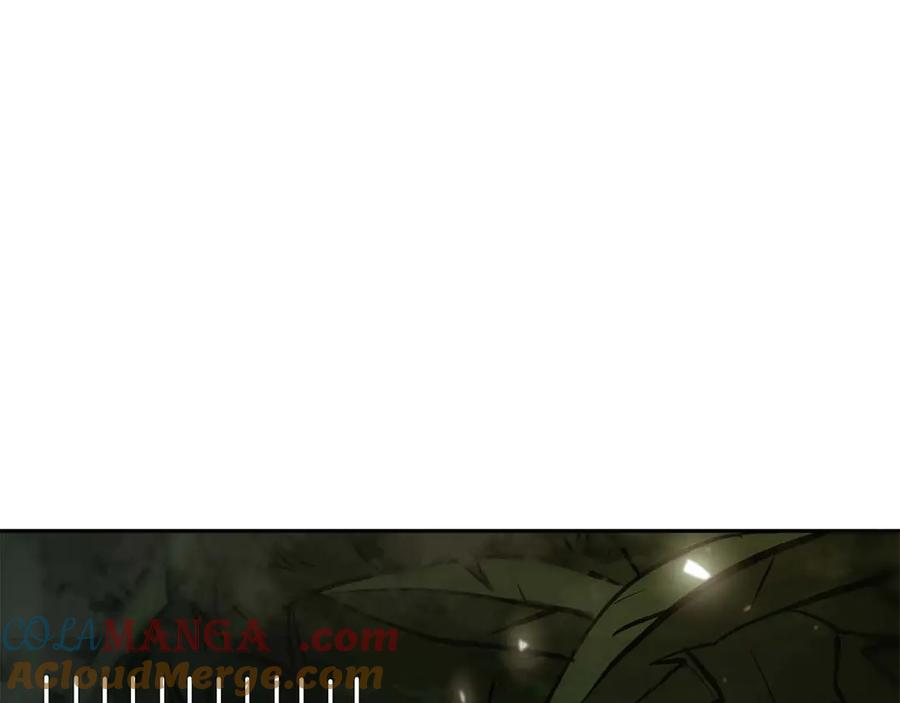 233.jpg