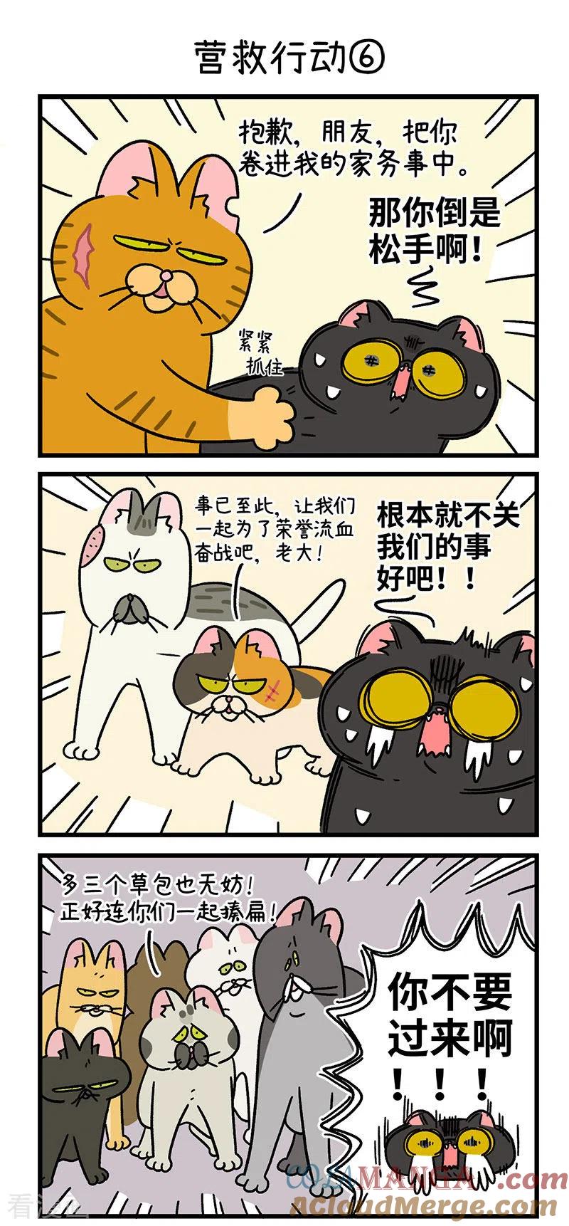 第44话2营救行动-阿满和麦茶-新漫画 日胖大海寺（第4张）