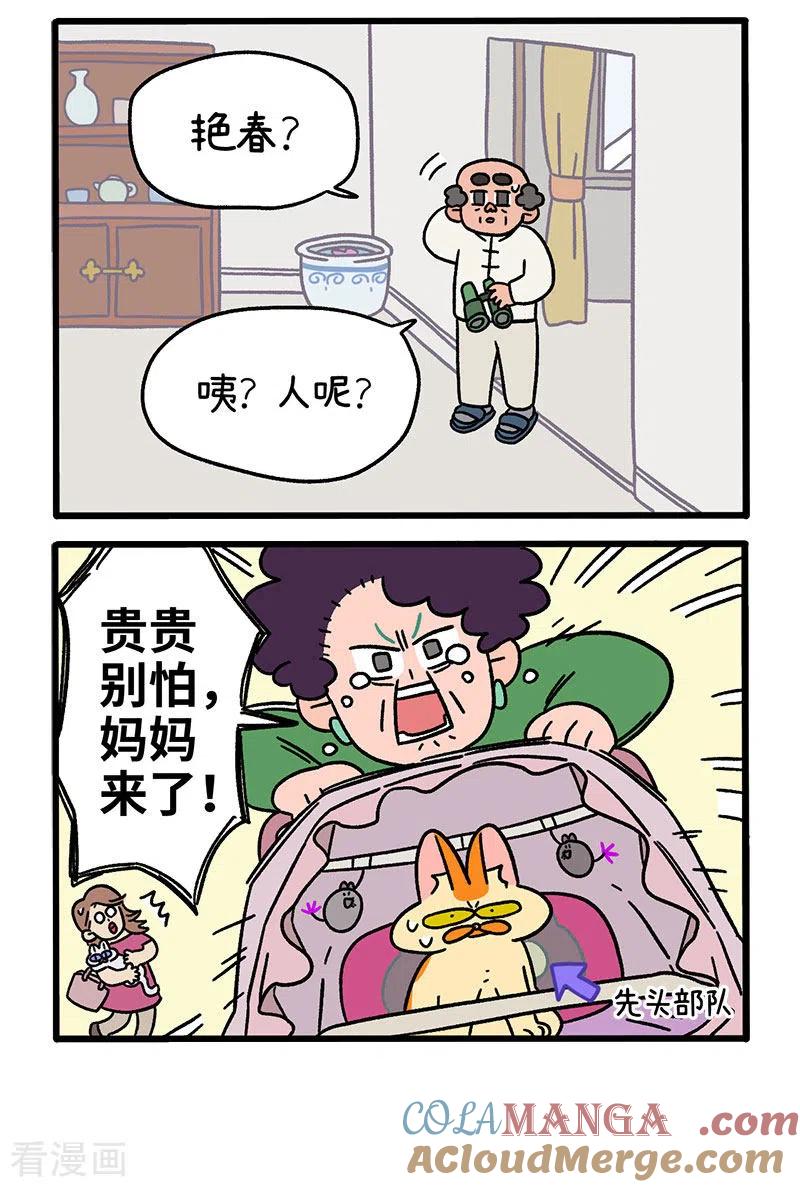 第44话2营救行动-阿满和麦茶-新漫画 日胖大海寺（第2张）