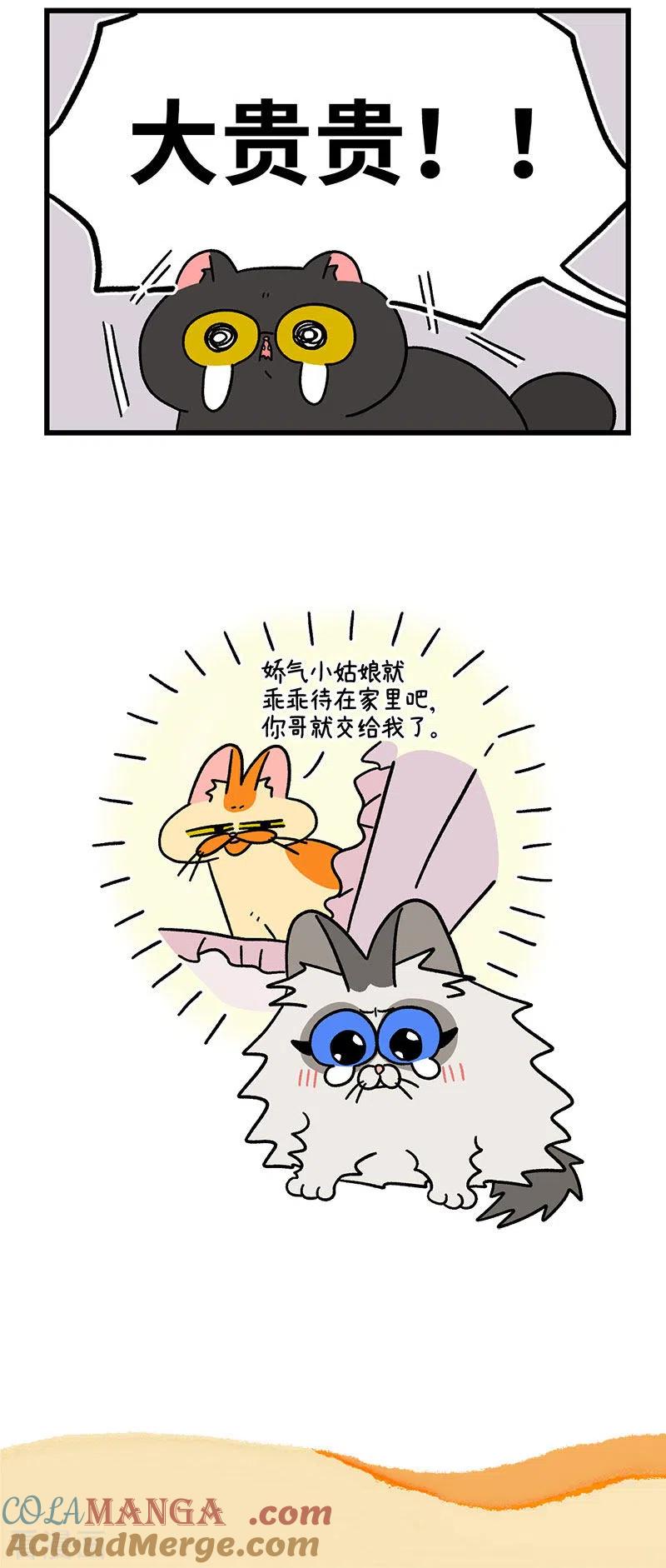第44话2营救行动-阿满和麦茶-新漫画 日胖大海寺（第5张）