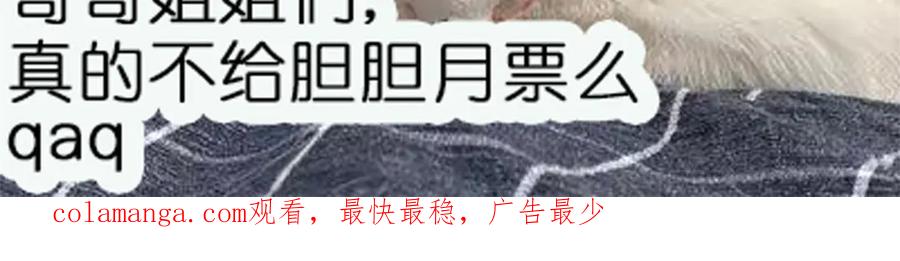 80.jpg