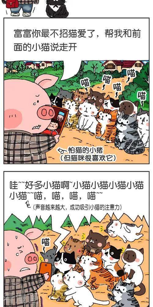 第121话第一次出周边-我的朋友-富美子（第8张）