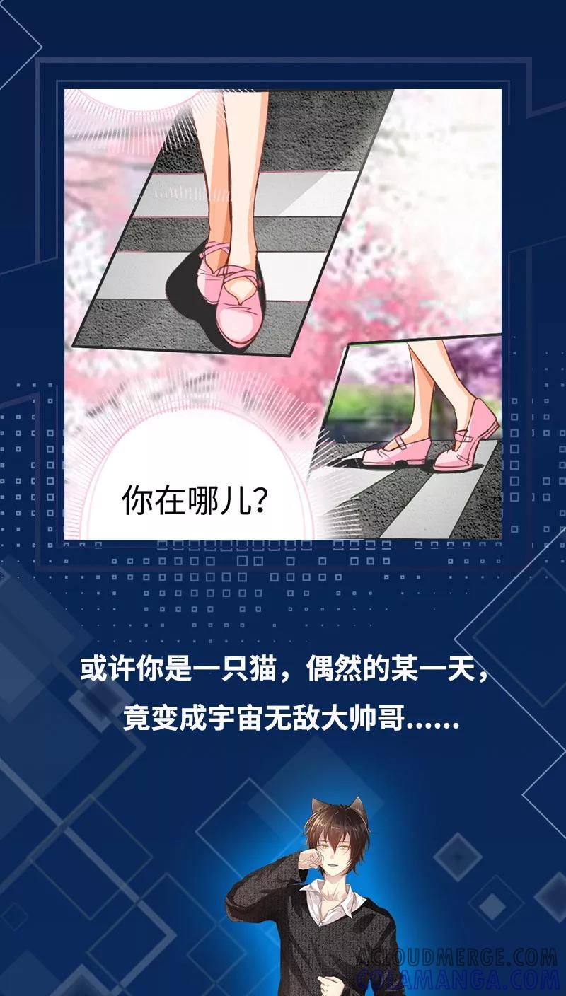 预告-男友是猫又怎样-神居动漫（第3张）