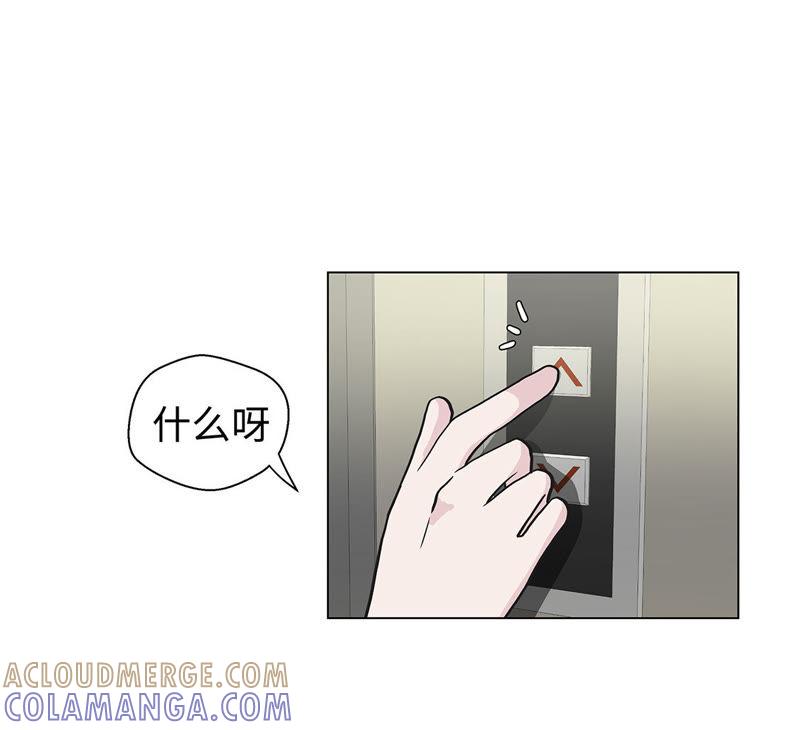 第二十二话我笑了？-奇妙的动物高中-一漫文化（第19张）